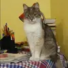 Отзыв от Нинель Галкина